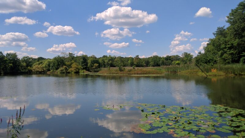 Beaver Dam Park - Milltown, NJ