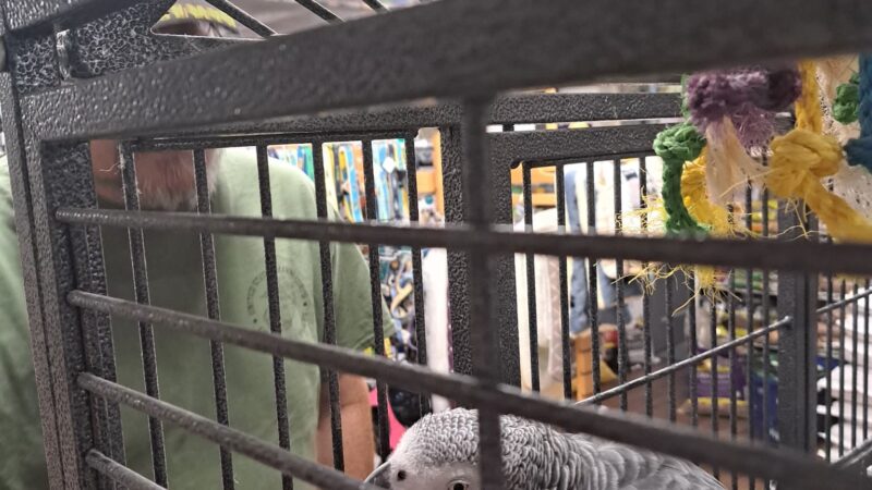 Millville's Pet Stop - Millville, DE