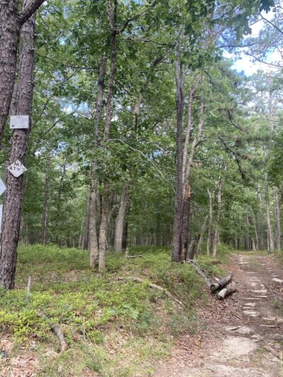 MAURICE RIVER NATURE AREA, VINELAND - Millville, NJ