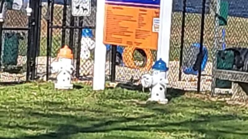 Thunderbolt Bark Park - Millville, NJ