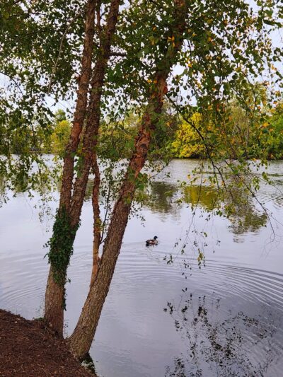Riverside Park - Millville, NJ