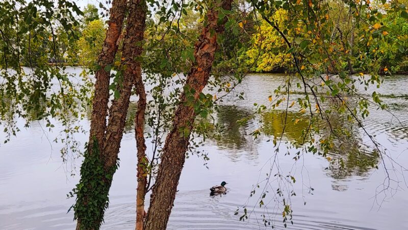 Riverside Park - Millville, NJ