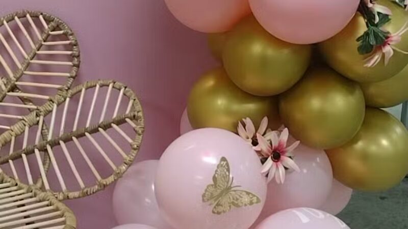 Millville North Park - Millville, UT