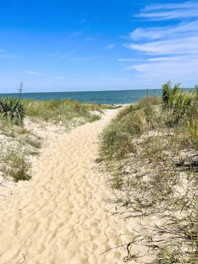Beach Plum Island Nature Preserve - Milton, DE