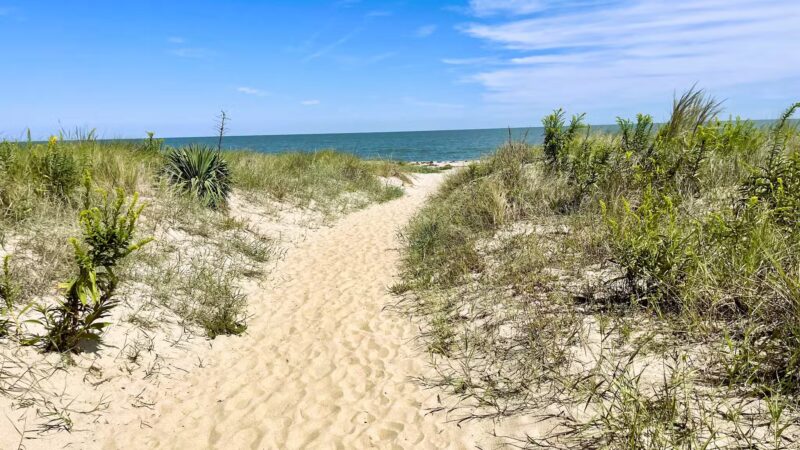 Beach Plum Island Nature Preserve - Milton, DE