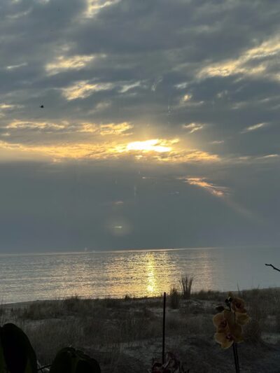 Beach Plum Island Nature Preserve - Milton, DE