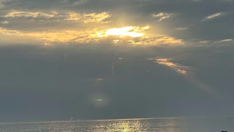 Beach Plum Island Nature Preserve - Milton, DE