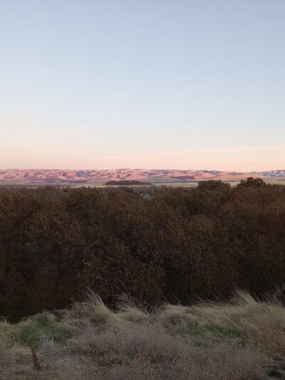 Yantis Park - Milton-Freewater, OR