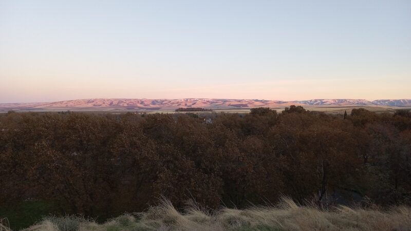 Yantis Park - Milton-Freewater, OR