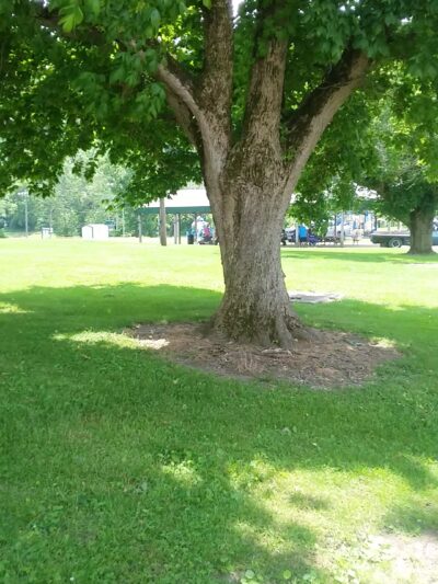 Milton City Park - Milton, KY