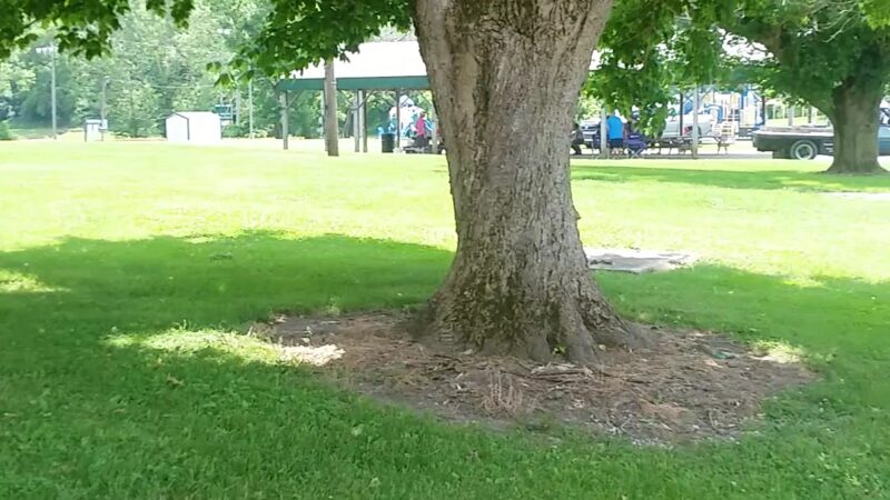 Milton City Park - Milton, KY