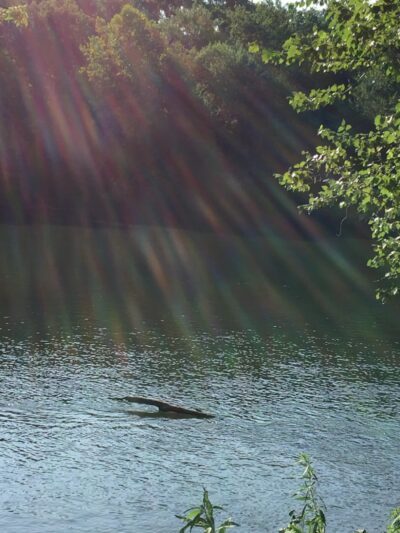 Milton State Park - Milton, PA