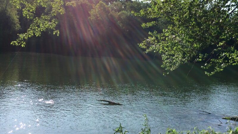 Milton State Park - Milton, PA