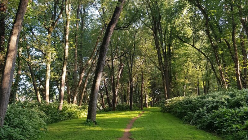 Milton State Park - Milton, PA