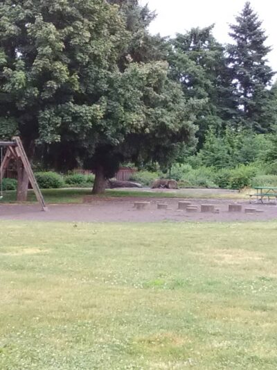 Hawthorne Park - Milwaukie, OR
