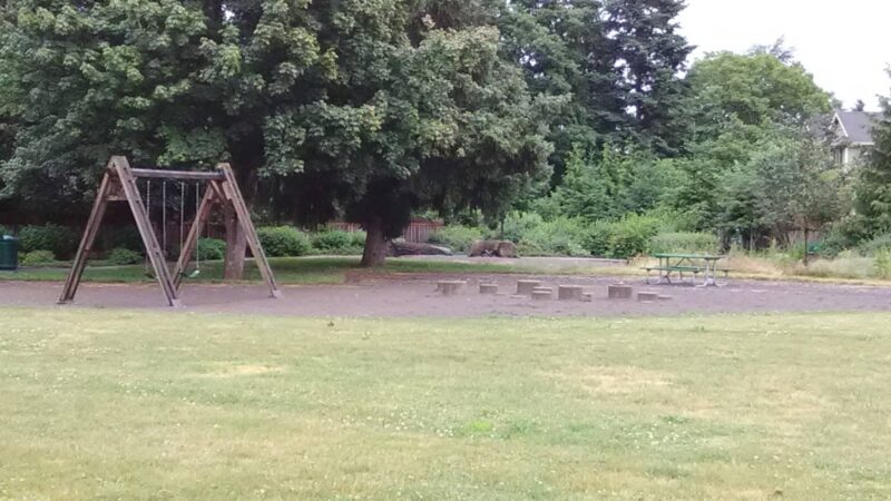 Hawthorne Park - Milwaukie, OR