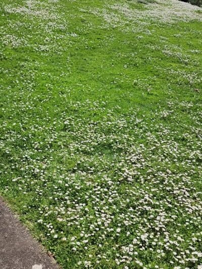 Kellogg Creek Park - Milwaukie, OR