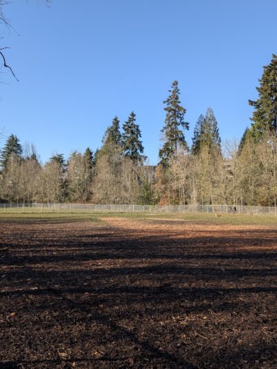 North Clackamas Parks and Recreation Off-Leash Dog Park - Milwaukie, OR