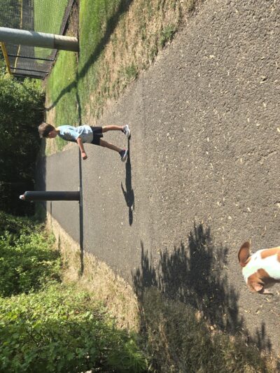 North Clackamas Parks and Recreation Off-Leash Dog Park - Milwaukie, OR