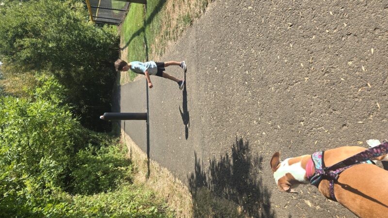 North Clackamas Parks and Recreation Off-Leash Dog Park - Milwaukie, OR