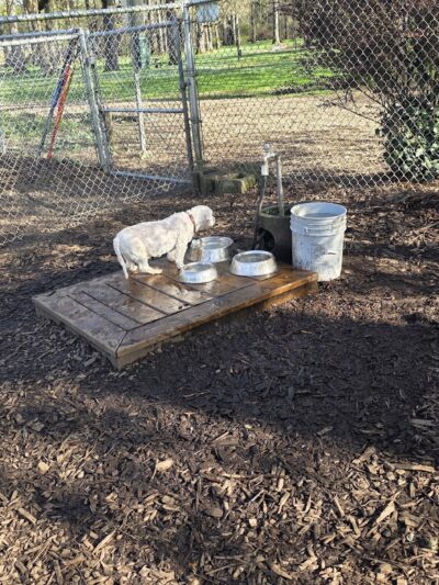 North Clackamas Parks and Recreation Off-Leash Dog Park - Milwaukie, OR