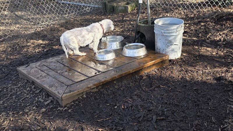 North Clackamas Parks and Recreation Off-Leash Dog Park - Milwaukie, OR