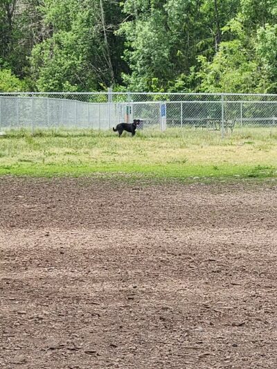 North Clackamas Parks & Recreation District - Milwaukie, OR