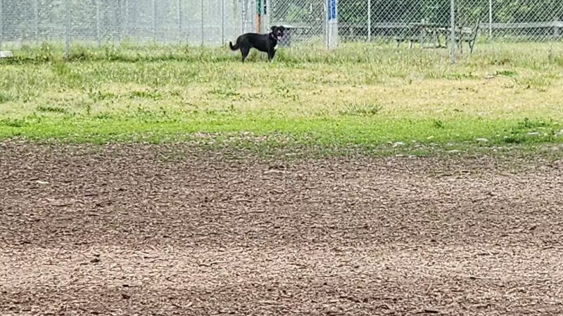 North Clackamas Parks & Recreation District - Milwaukie, OR
