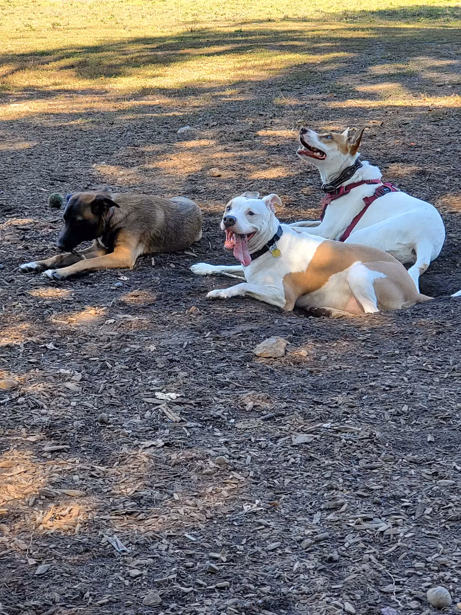 North Clackamas Parks & Recreation District - Milwaukie, OR