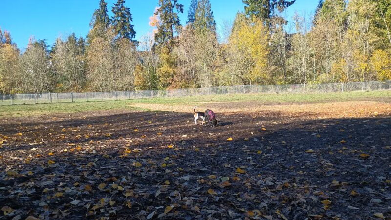 North Clackamas Parks & Recreation District - Milwaukie, OR