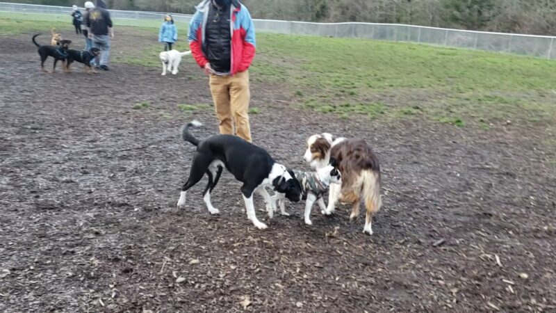 North Clackamas Parks & Recreation District - Milwaukie, OR