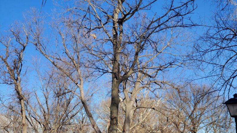 Augie Nelson Park - Minden, NE