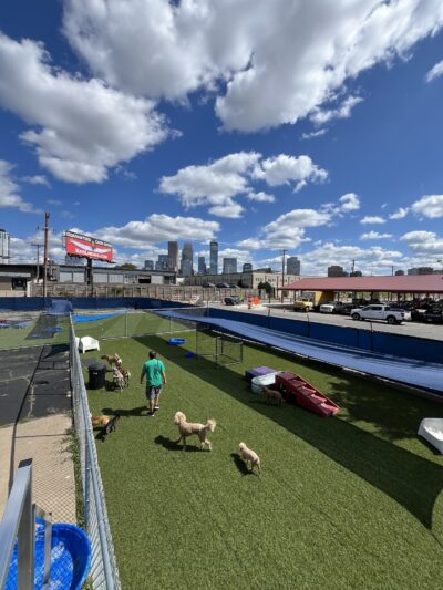 Barks & Rec - North Loop - Minneapolis, MN