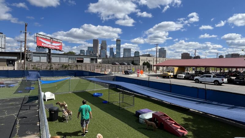Barks & Rec - North Loop - Minneapolis, MN
