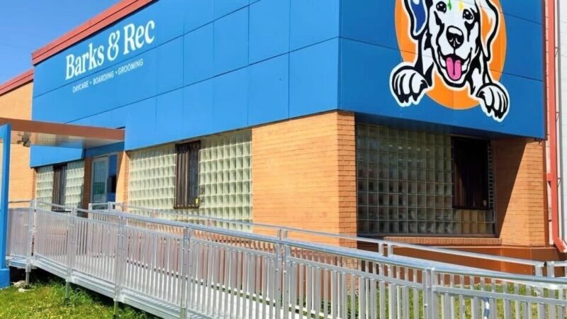 Barks & Rec - North Loop - Minneapolis, MN