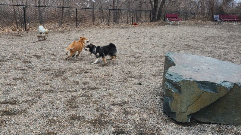 Stone Arch Dog Park - Minneapolis, MN