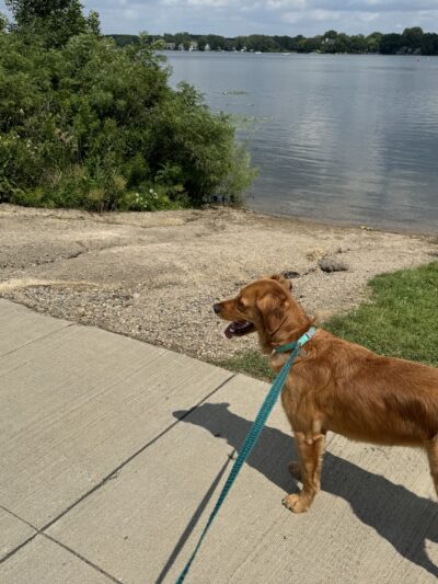 Gray’s Bay Causeway Park - Minnetonka, MN