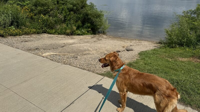Gray’s Bay Causeway Park - Minnetonka, MN