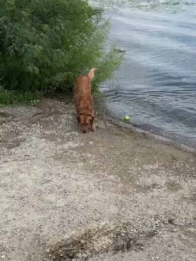Gray’s Bay Causeway Park - Minnetonka, MN
