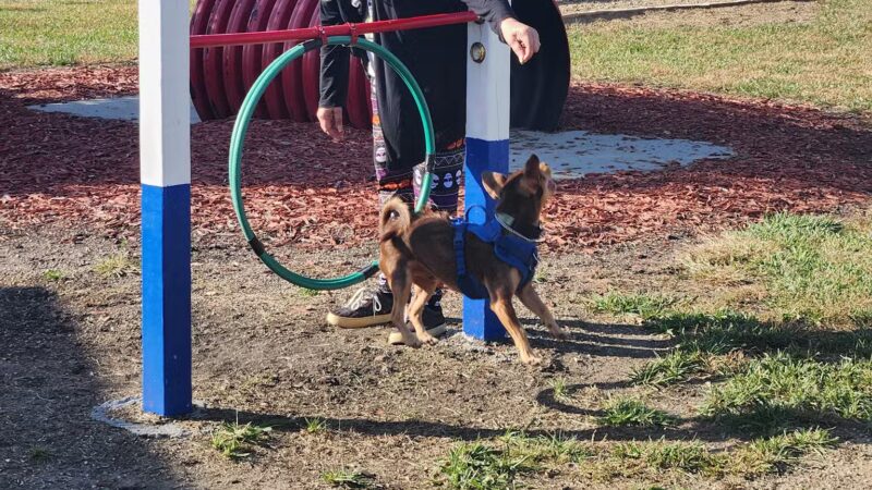 Little Willow Park - Missouri Valley, IA