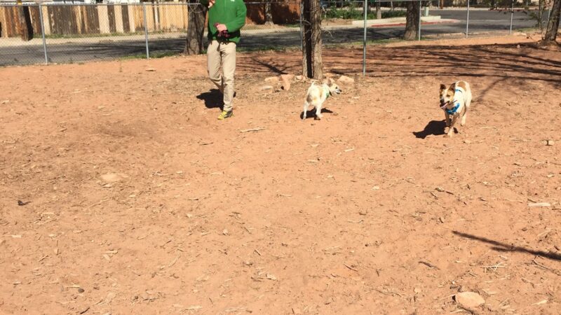 Bark Park - Moab, UT
