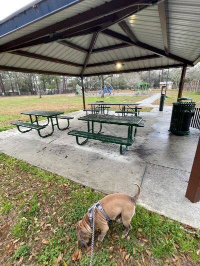 Dog Park - Mobile, AL