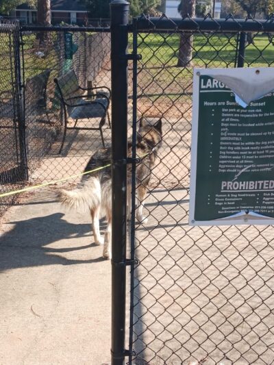 Dog Park @ Public Safety Park - Mobile, AL