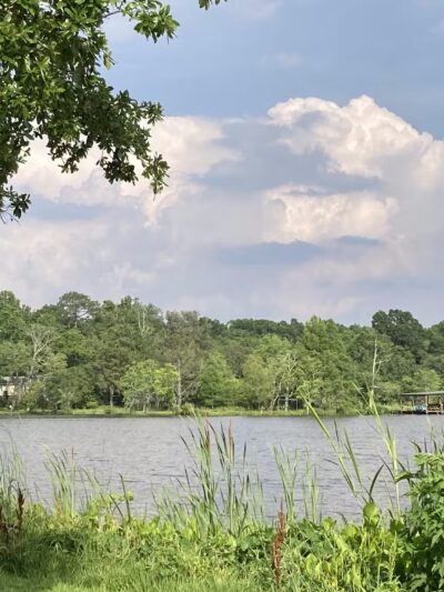 Dog River Park - Mobile, AL