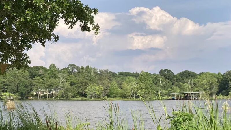 Dog River Park - Mobile, AL