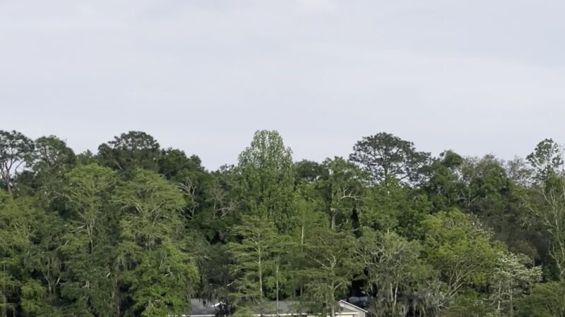 Dog River Park - Mobile, AL