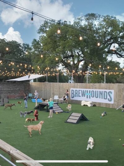 HopHounds Brew Pub & Dog Park - Mobile, AL