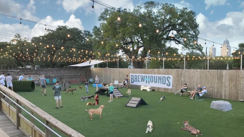 HopHounds Brew Pub & Dog Park - Mobile, AL