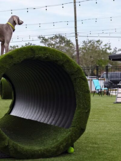 HopHounds Brew Pub & Dog Park - Mobile, AL