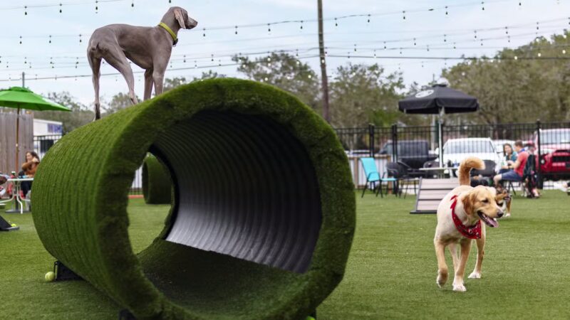 HopHounds Brew Pub & Dog Park - Mobile, AL